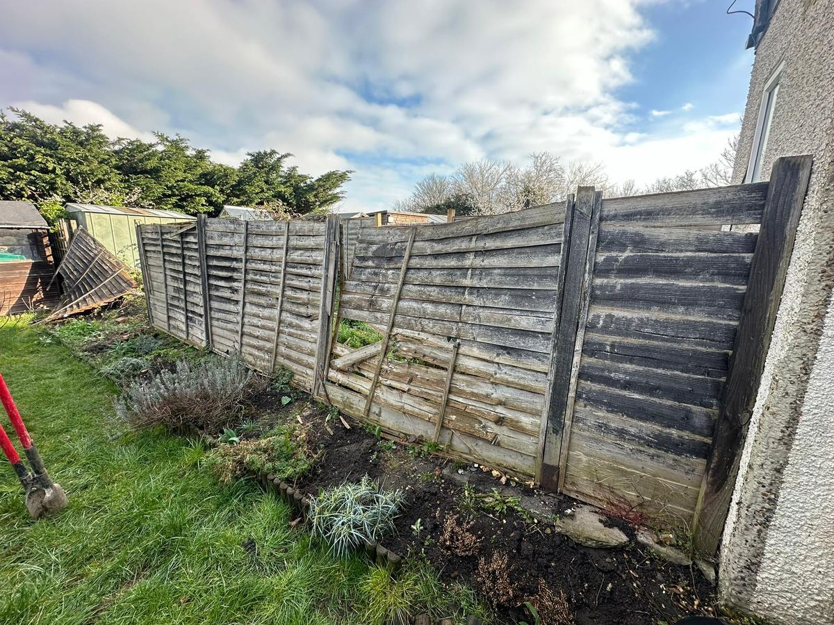A storm-damaged lap fence leaning and broken, waiting to be replaced